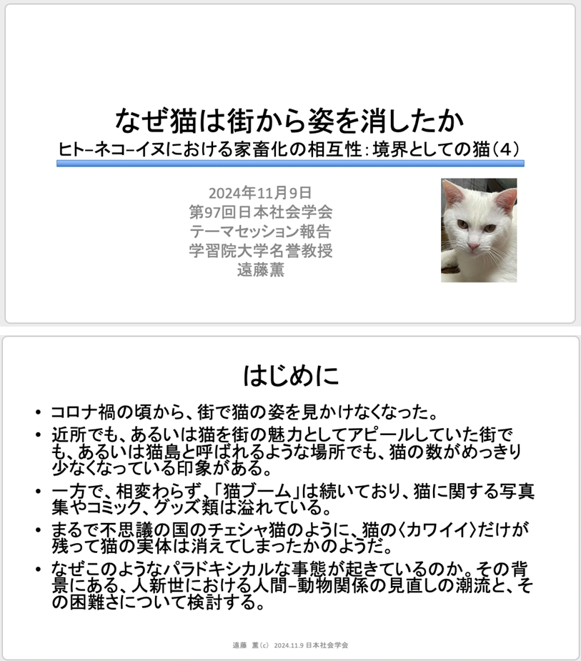 第97回日本社会学会大会 報告「なぜ猫は街から姿を消したか—ヒト−ネコ−イヌにおける家畜化の相互性：境界としての猫（４）」2024年11月9日＠京都産業大学