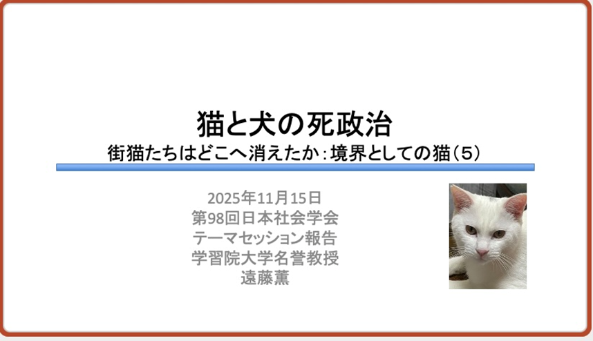 日本社会学会大会テーマセッション「猫と犬の死政治街猫たちはどこへ消えたか：境界としての猫（５）」